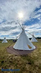 Alpaka-Tipi-Park - Image 2