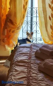La casetta della nonna - Image 3