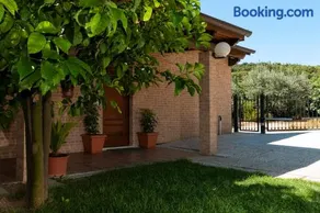 La casa de Rocche - Image 1