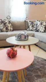 House Fox - Image 4