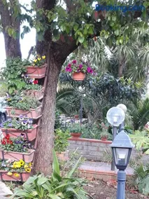 La Camelia B&B - Image 2
