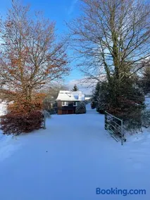 Waldhaus Wangen - Image 2