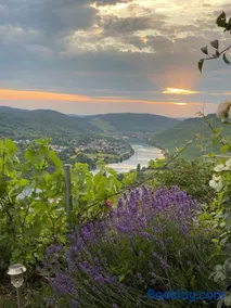 Apartment an der Mosel 1 - Image 2