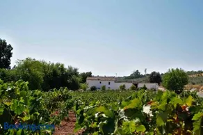Elegant Villa in Montilla with Private Pool - Image 2