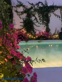 Patios del Agua - Image 3