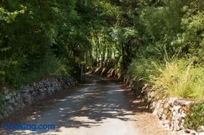 Coolcormack Stud B&B - Image 5