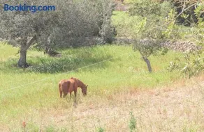 Finca Batlet - Image 2