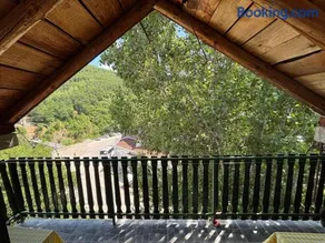 Lola - Image 5
