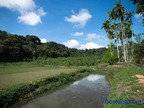 Rain Roots Estate Stay - Image 1
