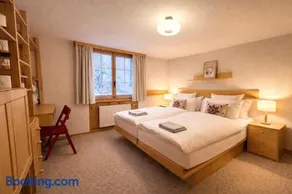 Grand duplex, charme, cheminée & balcon Diablerets - Image 4