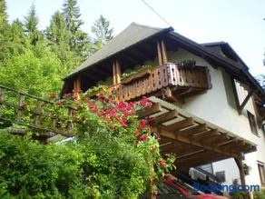 Haus am Bach - Apartamento de 30 metros cuadrados, 1 sala de estar / dormitorio, máx. 3 personas - Image 2