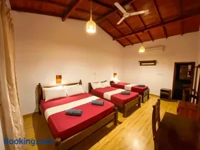 Oasis Bay - Arugam Bay - Image 1