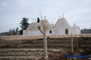 Agriturismo TENUTA MAGALEPPO di Basile Miriana - Image 3