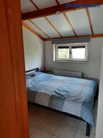Zalig genieten van de zeelucht! - Image 4