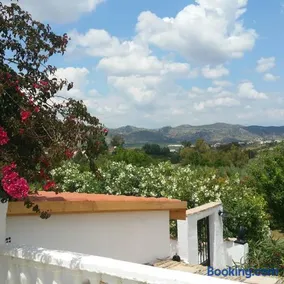 Finca Rayo del Sol - Image 4