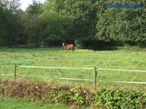 Rustpunt Groote Heide - Image 4