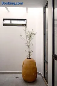 Departamento Apolo - Image 2