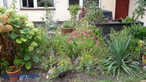 Ferienwohnung bei Erfurt - Image 1