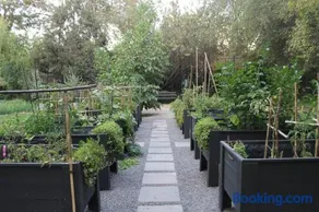 Escape al bosque! - Casa Vintage - Image 4