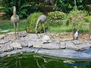 Domaine du lagon bleu - Image 3