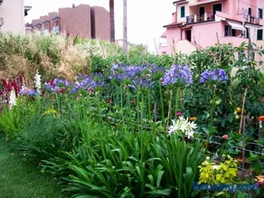 Guest House Arancia145 - Image 3
