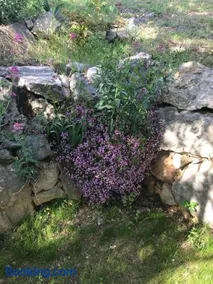 La Casa di Franco - Image 3