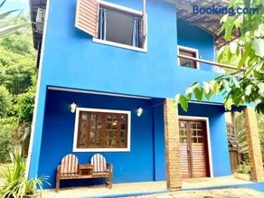 Bromélia Blue - Image 2