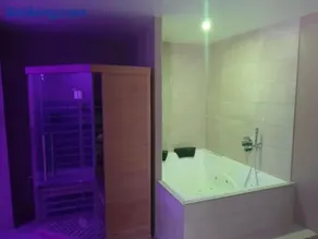 Nid à bulles - Loft 35m2 sauna jacuzzi 10min centre Strasbourg - Image 1