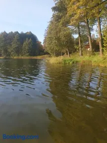 Leśny Azyl Bory Tucholskie - Image 1