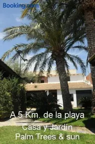 Sun & Palm Trees - Image 1