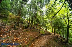 Chalet Nune - Image 3