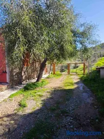 Red House Retreat Aegina Kontos - Image 4