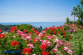 Le Clementine B&B - Image 5