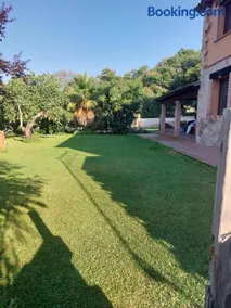 Higueras y Olivos - Image 2