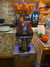 Hotel Dolores Ameland - Image 2