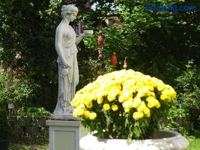 Villa Moeller - Image 4