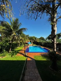 Chácara Girassol em Primeiro de Maio-Pr - Image 3
