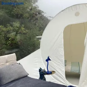 Wooded Bubble - Image 3