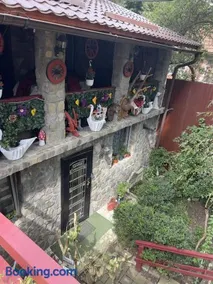 Vila Movilă - Image 2