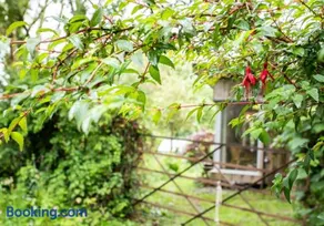 Y Caban - Cosy Cabin in Pembrokeshire - Image 2