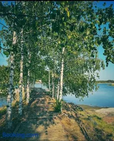 Hirsimökki,Meri,Sauna,Terassi - Image 1