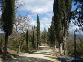 La Campesa - Image 1