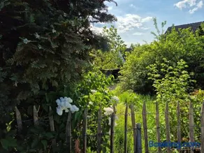 Naturnah in schönem Haus mit Garten und 10 Betten - Image 3