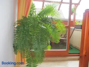 Villa Elena - Image 4