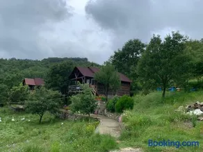 Origjina Farm - Image 2