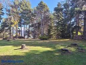 refugio en el bosque - Image 3