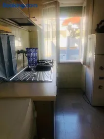 PuraVida 3 - Image 3