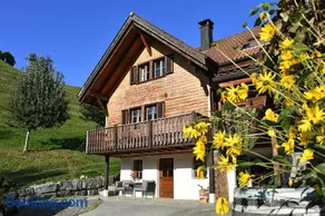 Ferienhaus auf dem Lamahof - Image 3