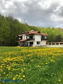 Wildwood Villa - Image 2