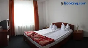 Hotel Paltinis - Image 3